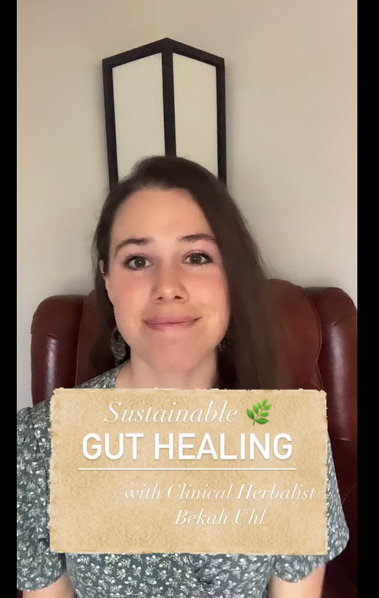 Sustainable Gut Healing webinar