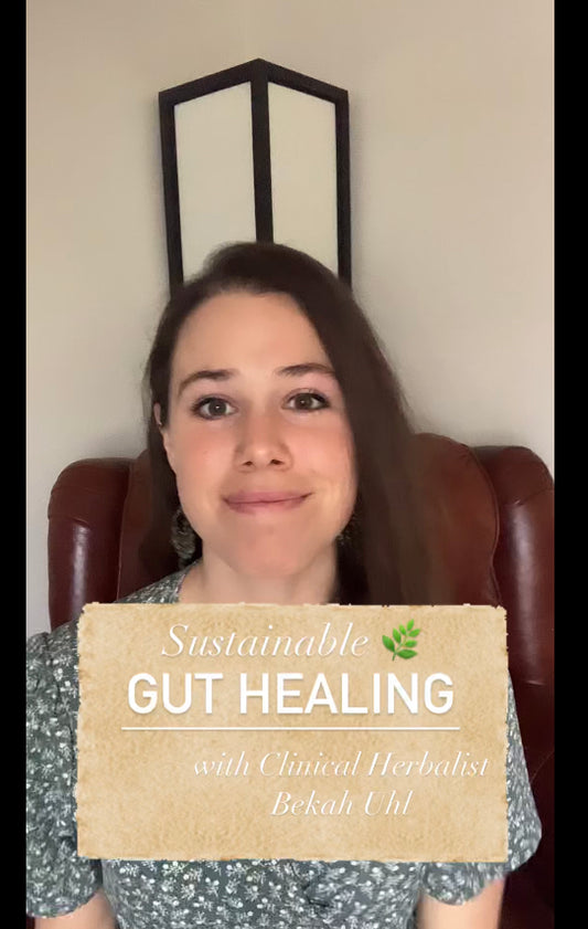 Sustainable Gut Healing webinar